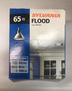 Sylvania Flood Light
