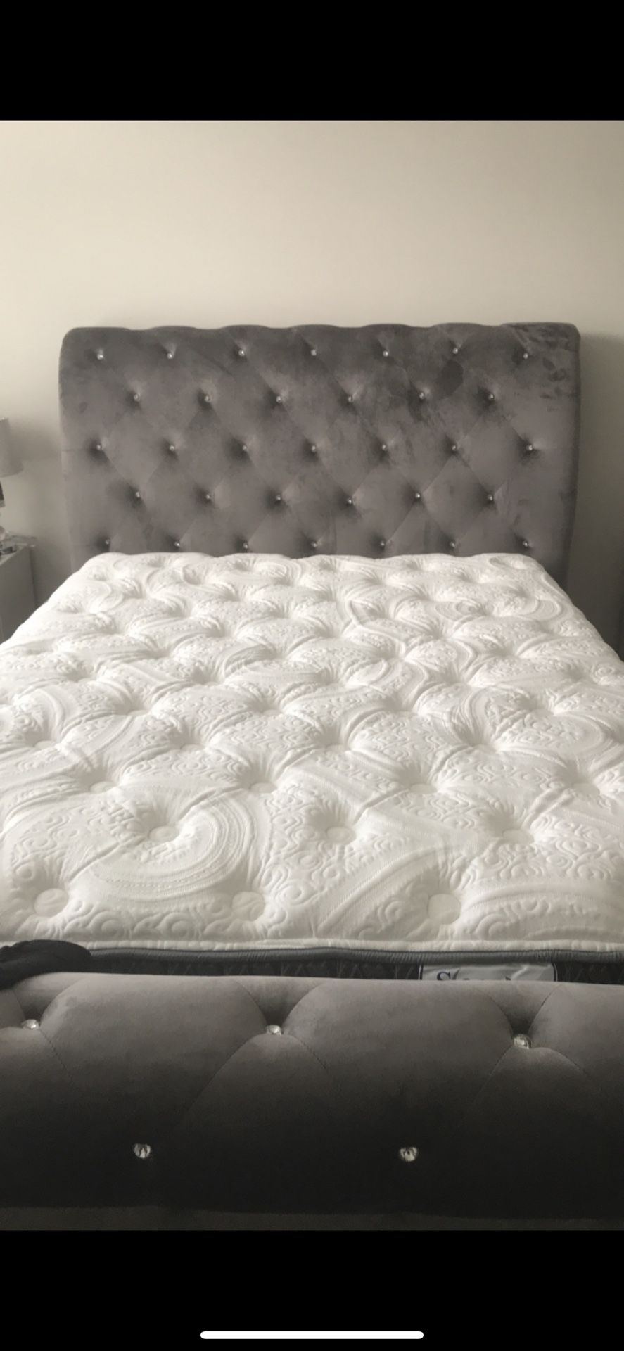 Queen bed frame (mattress and box spring optional)