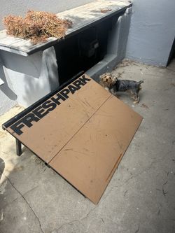 Fresh Park Ramps