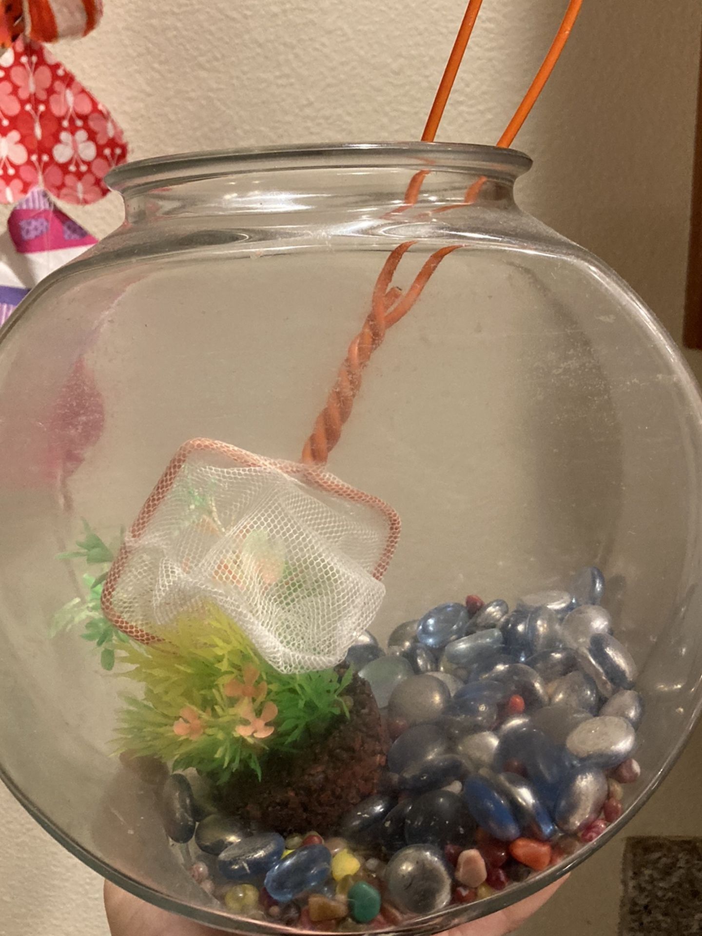 Small/medium sized Fishbowl & Accessories