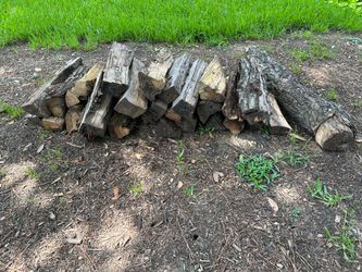 Split Firewood Log Bundle