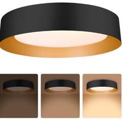 16.5" Round Ceiling Light