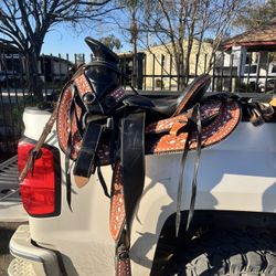 Horse Saddles 