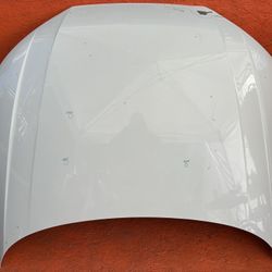 2017 2018 2019 2020 2021 2022 2023 AUDI A4 S4 HOOD OEM 8W0823029A
