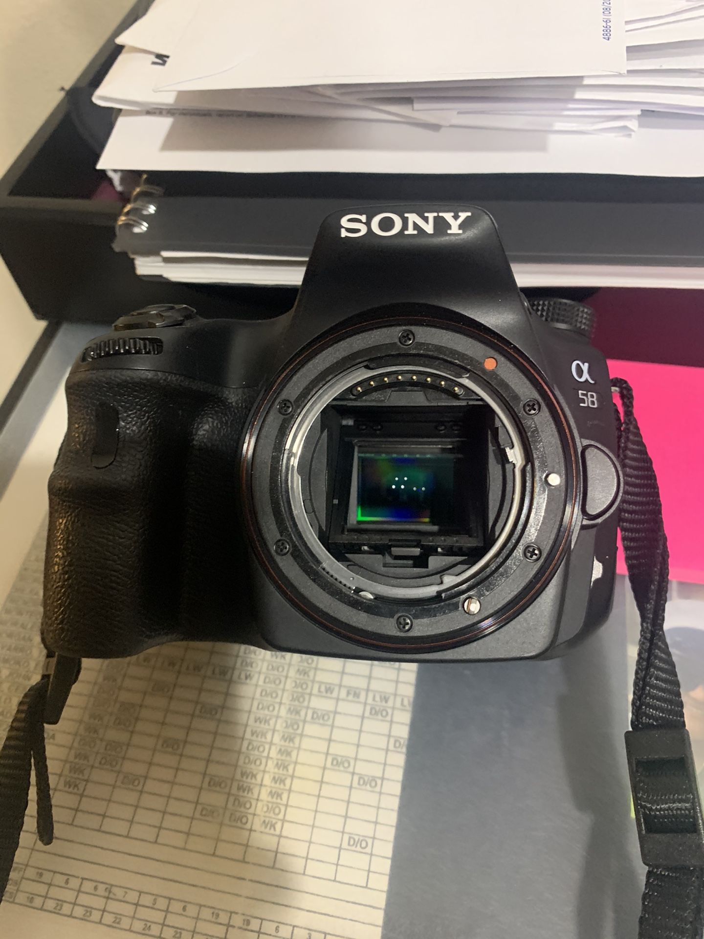 Sony DSLR Camera