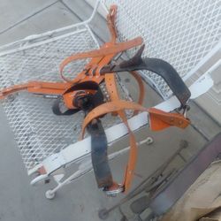 Tree Climbing Spikes