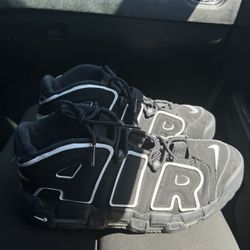 Shoes : Nike Air Uptempo 