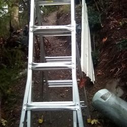 Gorilla ladder 