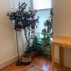 Artificial House Plants 