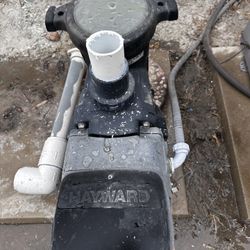 Pool Pump