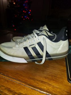 Adidas Low-Top Canvas Sneakers