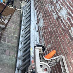 32' Werner Ladder