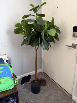 5ft Fiddle Leaf Fig artificial plant