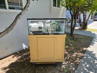 Fish tank and stand 40 gallon