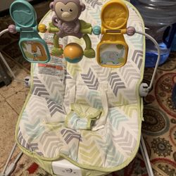 Infant Bouncer Seat