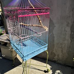 Bird Cage