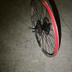 Chrome 29er Rim Gears