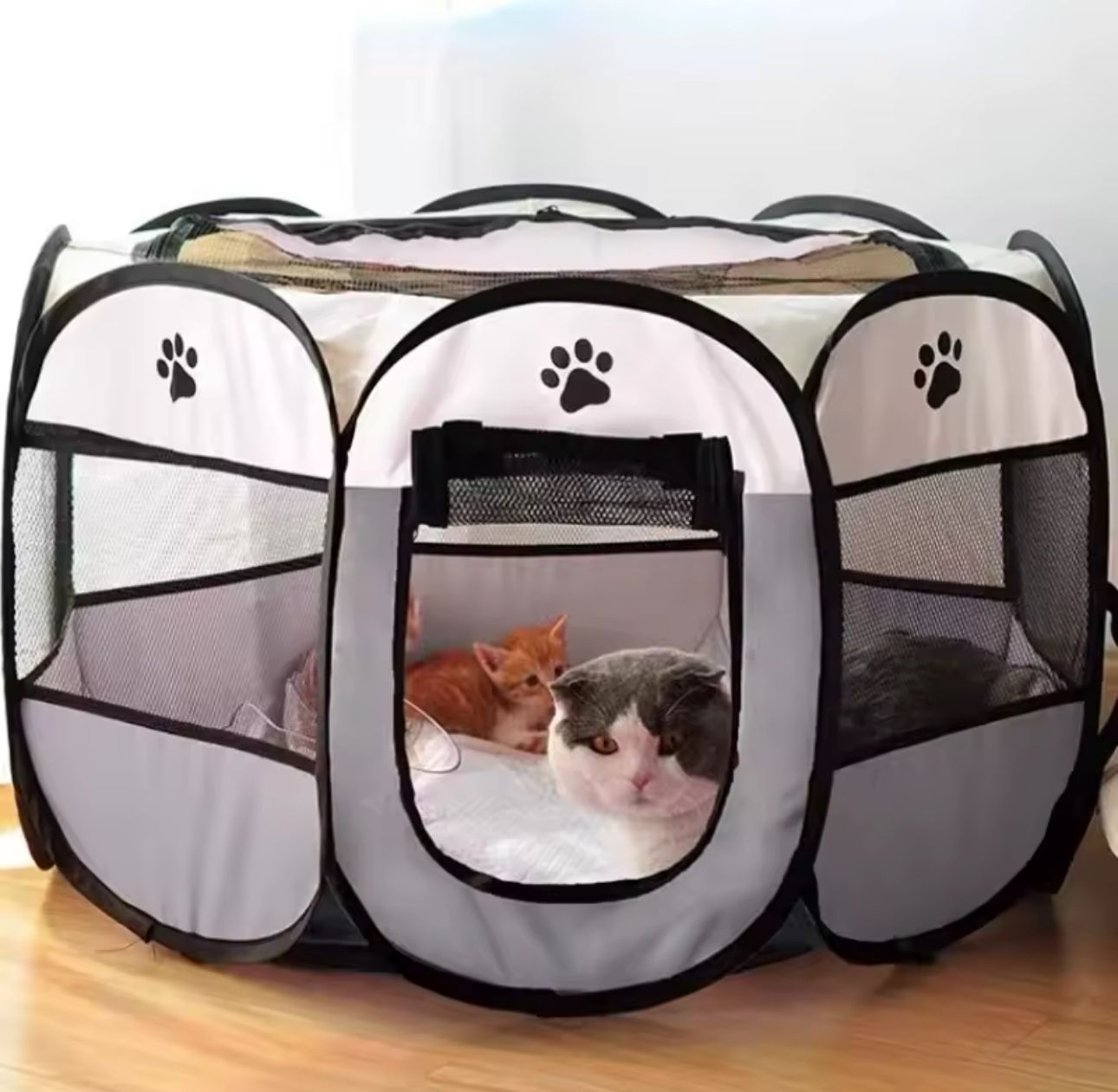 house for dogs and cats