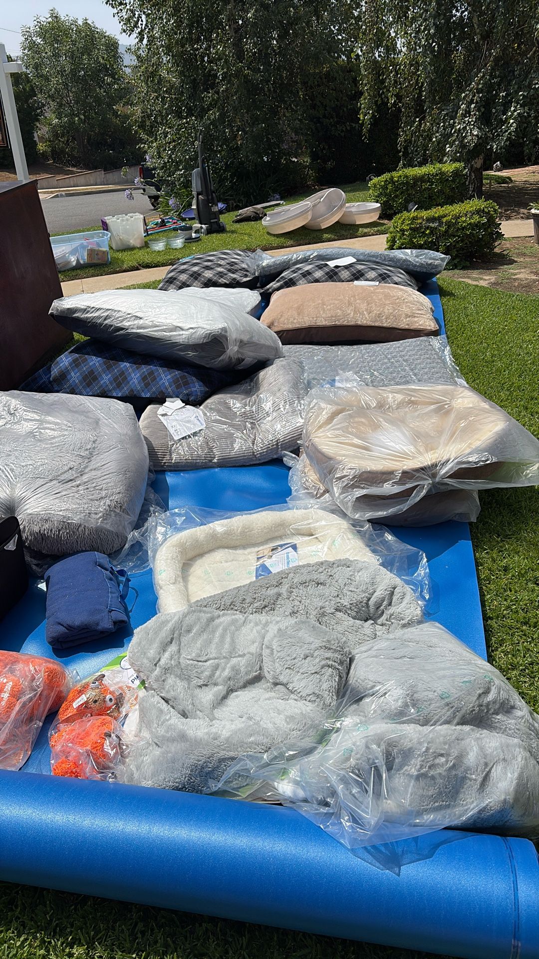 Dog Beds And Cat litter Boxes