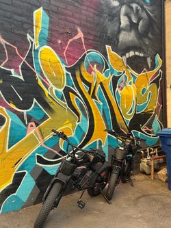 Meelod e-bike