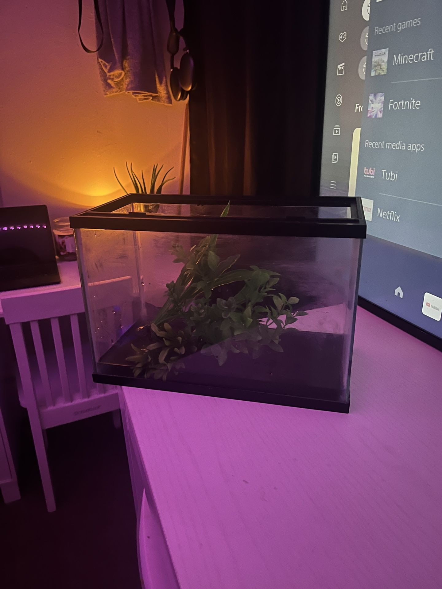 Fish Tank