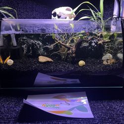 Hygger New View Horizon 8Gallon Aquarium 