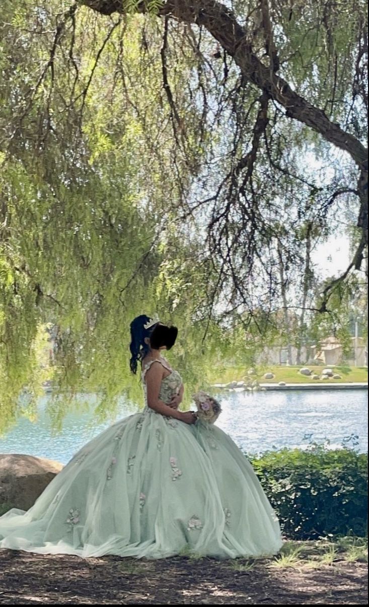 QuinceƱera Dress
