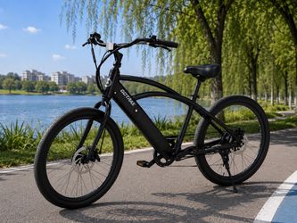 Electric Dirt Bike with Paddles