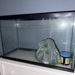 29 gal fish tank
