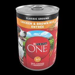 Purina ONE Classic Ground Chicken & Brown Rice Entrée adult wet dog food