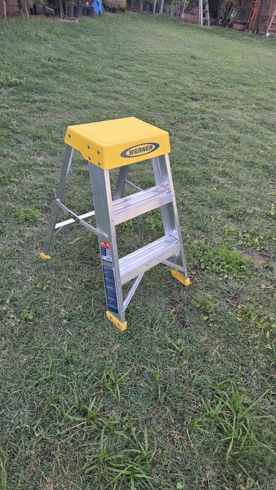 Werner 2ft Ladder