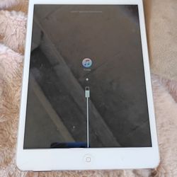 iPad Mini 2 (Silver)