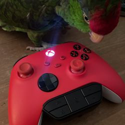 Xbox X/S One Controller 