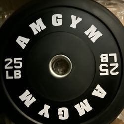 A pair of 25 pounds each bumper plates