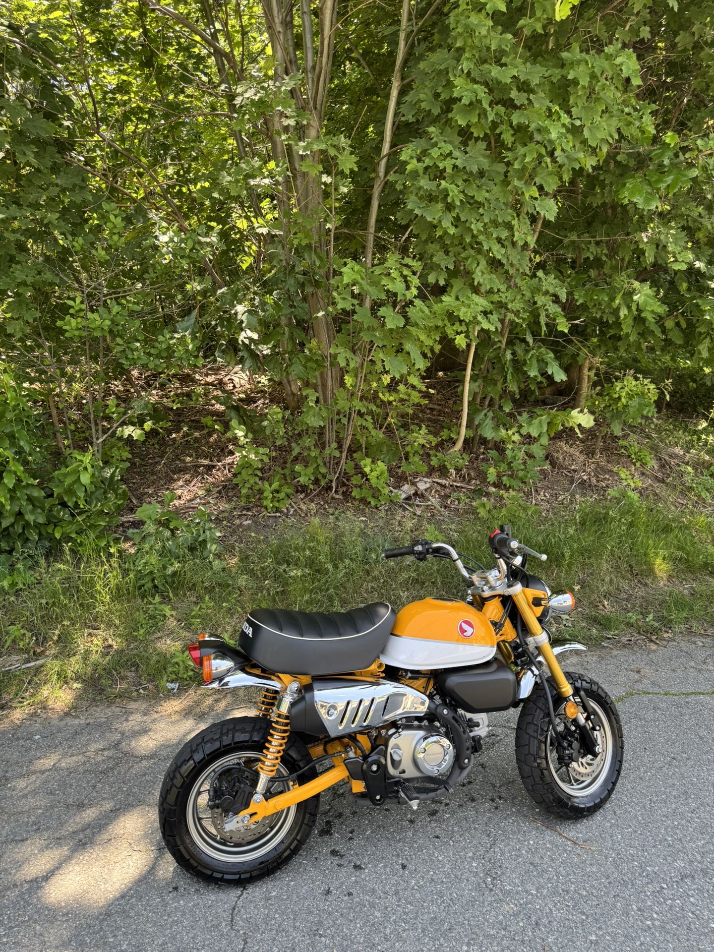 2019 Honda Monkey