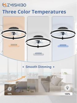 Xmishibo 20” ceiling fan with light