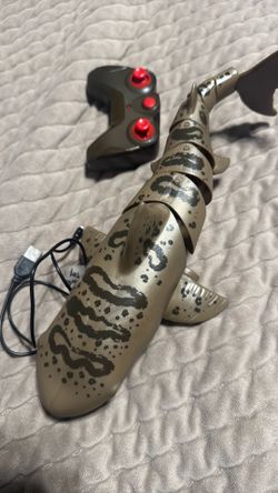 Remote control shark
