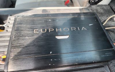 Dual 12" Massive Audio subwoofers in a ported box with a 2250W amp.