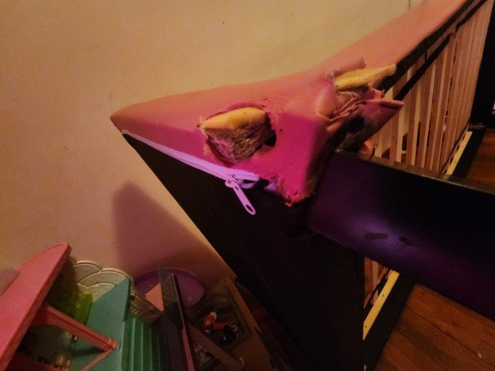 Pink TWIN Girls Bed