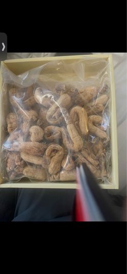 1 lbs Box White Mountain Ginseng Root
