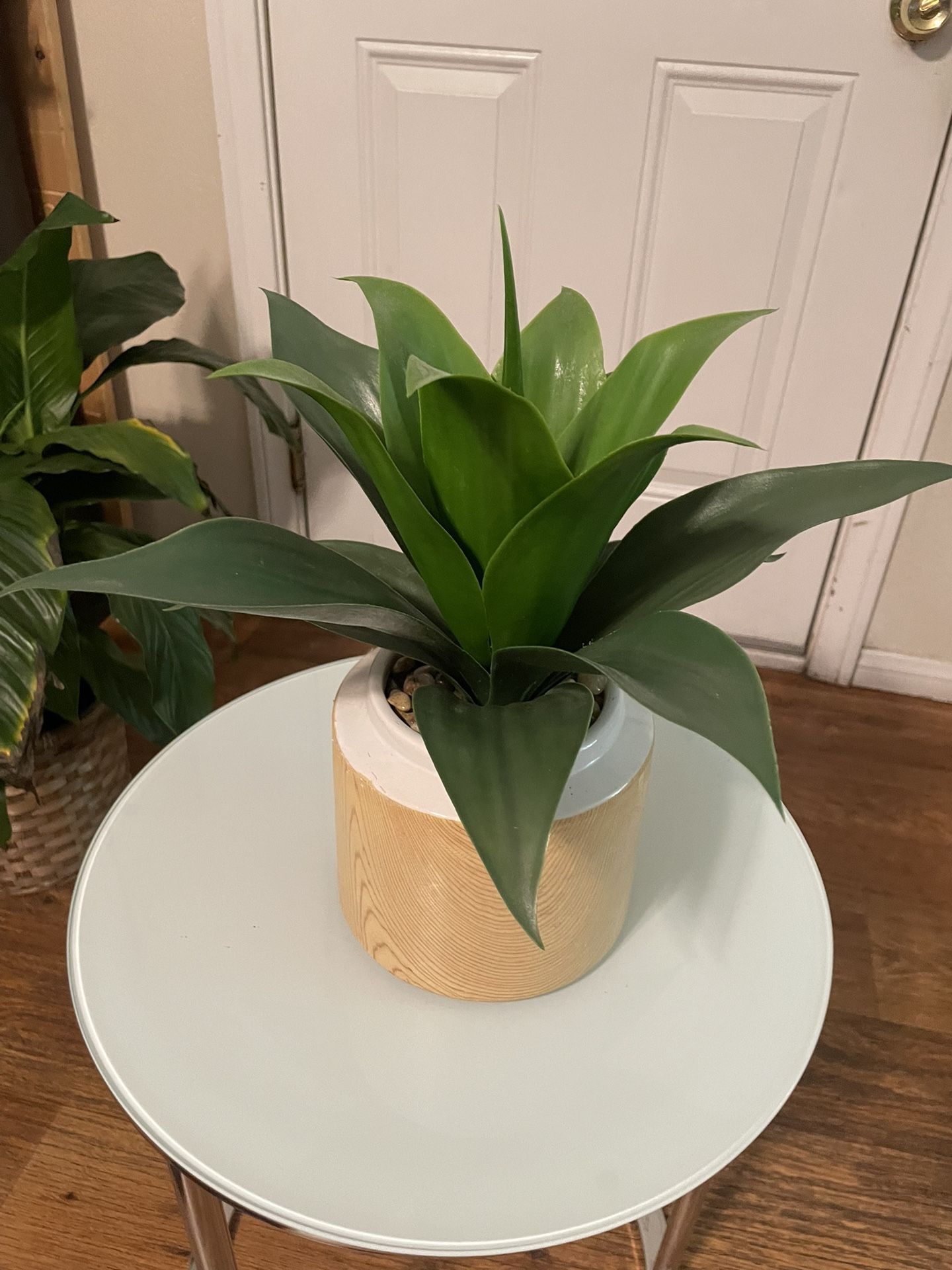 Artificial Agave Plant in Two Tone Woodgrain Pot
