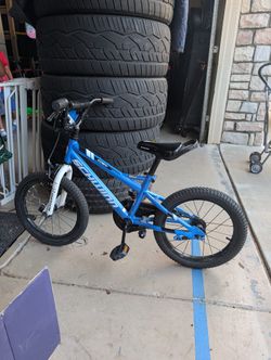 Schwinn 15”