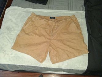 American eagle brown shorts