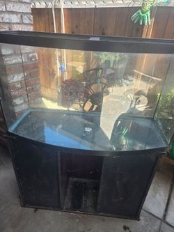 40 gallon aquarium