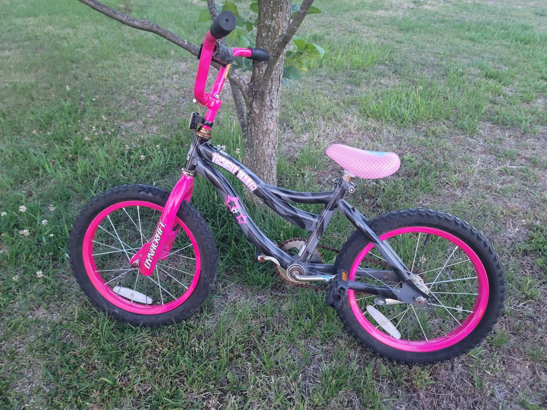 Dynacraft Trouble Maker 16" Girls BMX Bike for Age 5 - 7 Years Old
