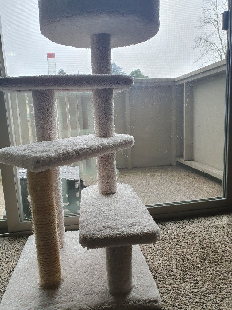 Cat Tree 38 X 22