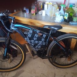 Electric Bike