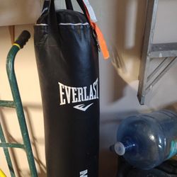 Everlast 70 LB Punching Bag