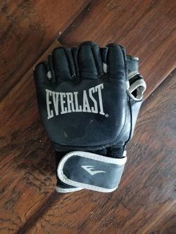Everlast grappling gloves