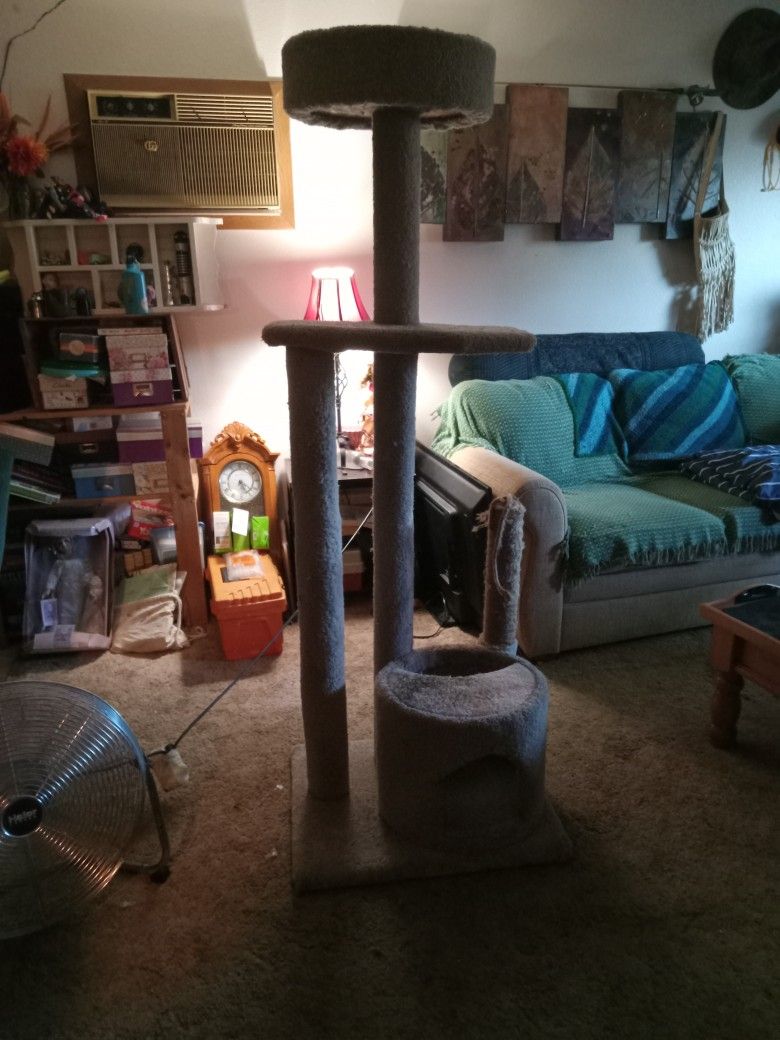 Cat Tower
